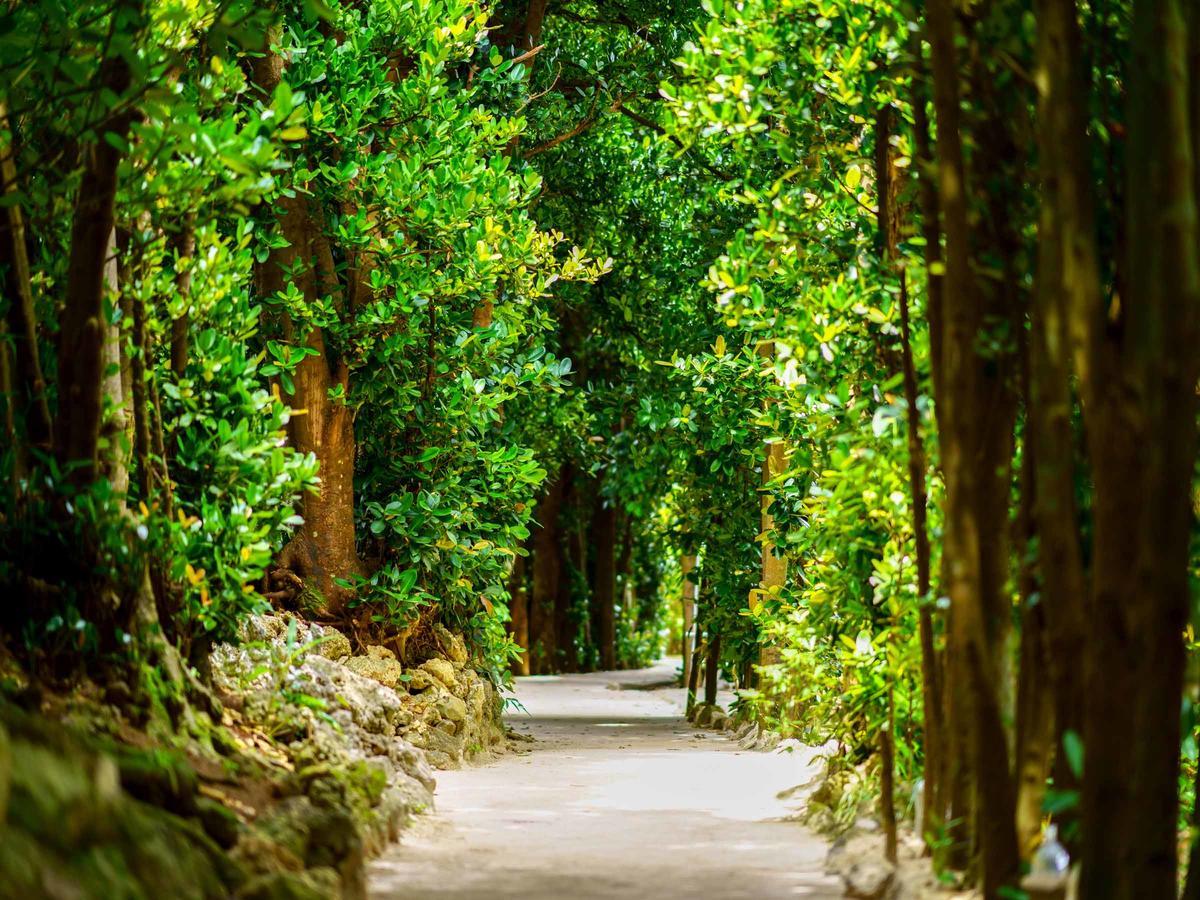 Matayoshi Coffee Farm Βίλα Higashi Εξωτερικό φωτογραφία